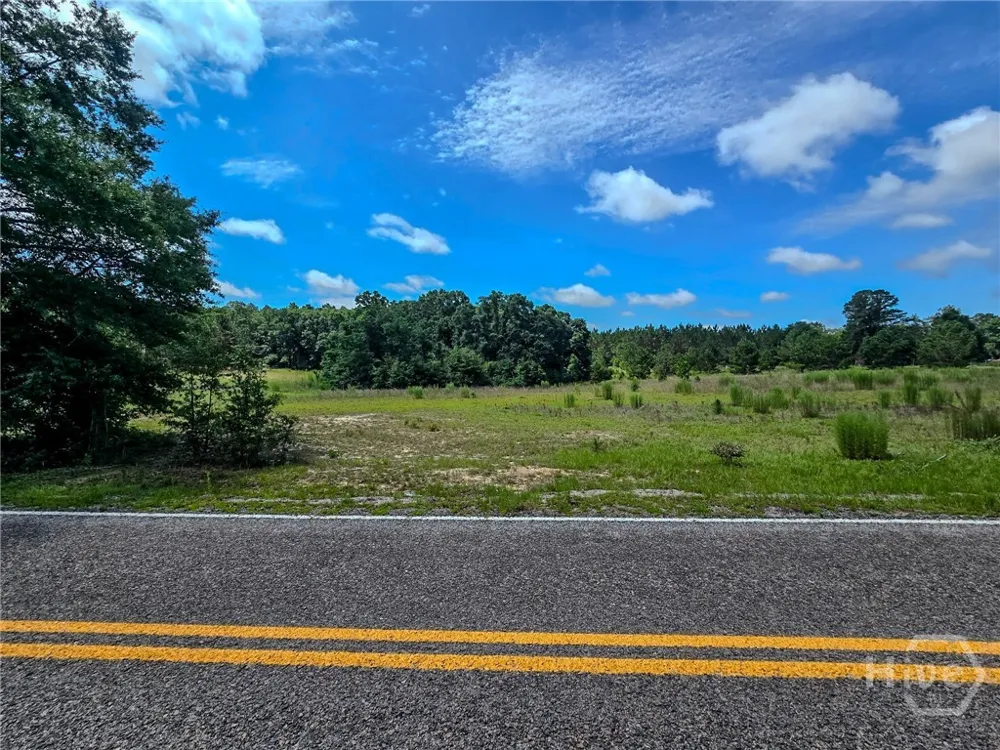 Village Road Sylvania, GA 30467