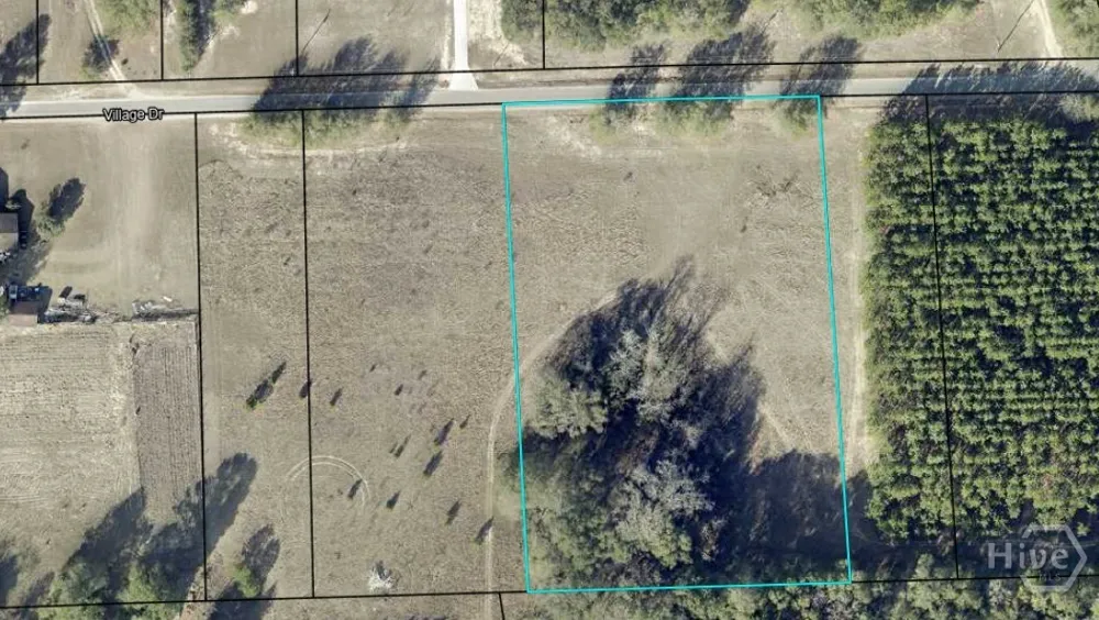 Village Road Sylvania, GA 30467