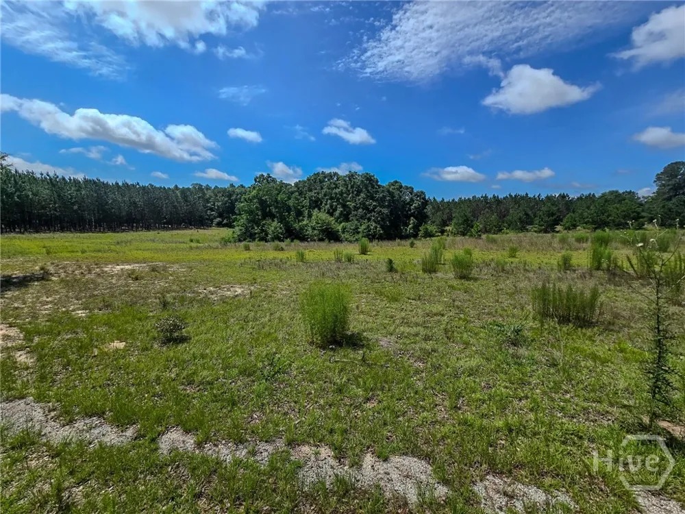 Village Road Sylvania, GA 30467