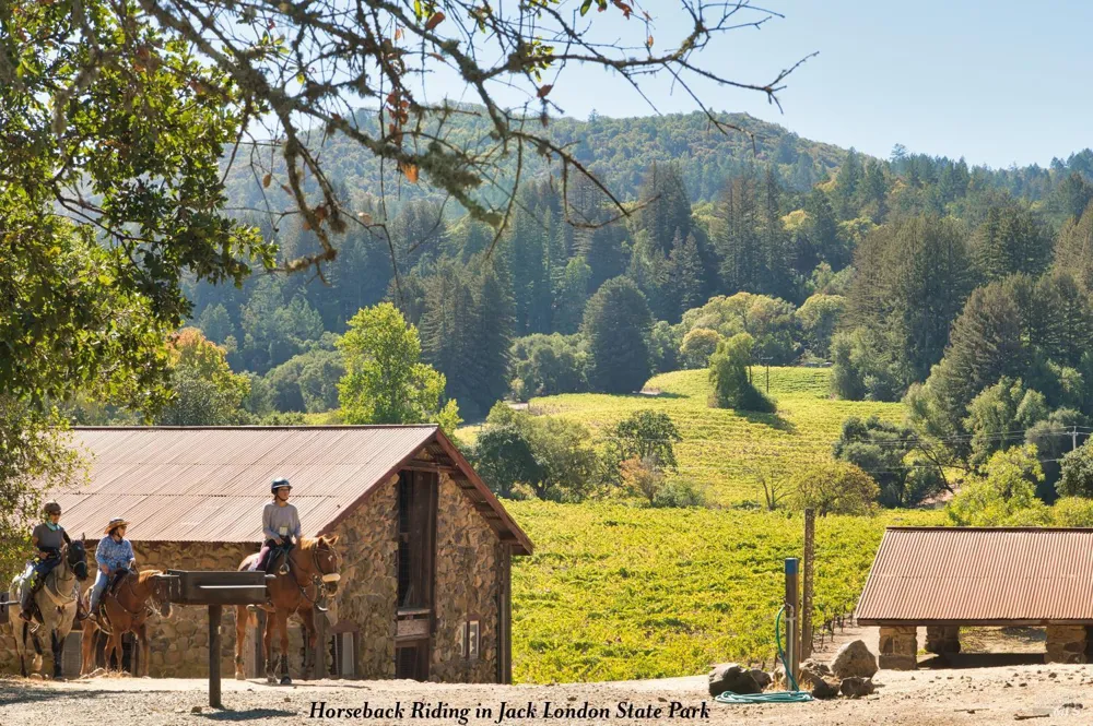 3466 Warm Springs Road Glen Ellen, CA 95442