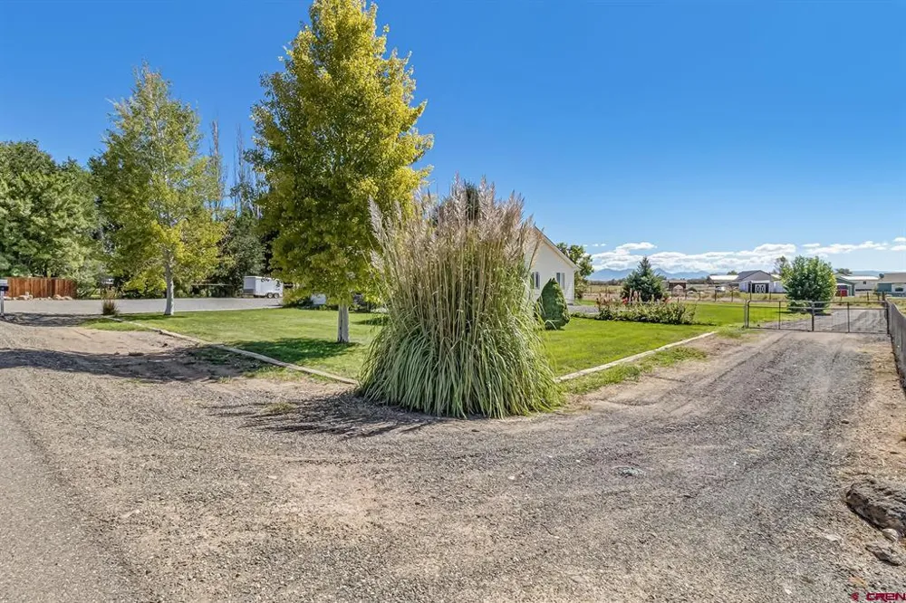 10826 Mesa View Loop Eckert, CO 81418