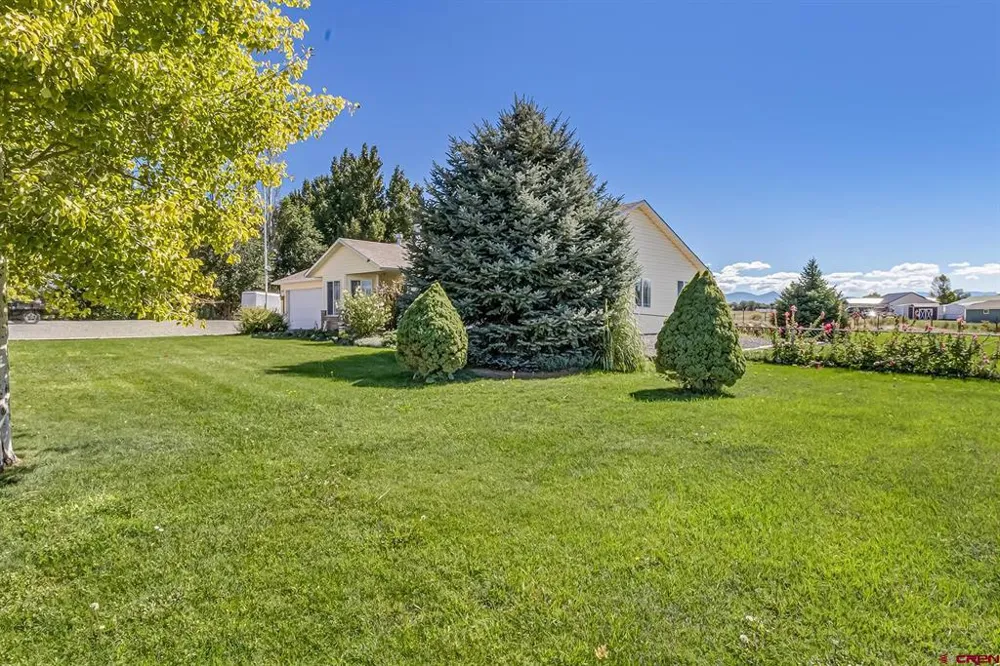 10826 Mesa View Loop Eckert, CO 81418