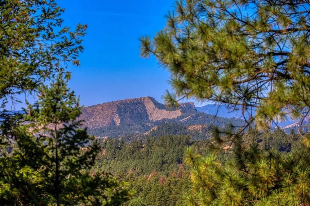 909 Starling Circle Pagosa Springs, CO 81147