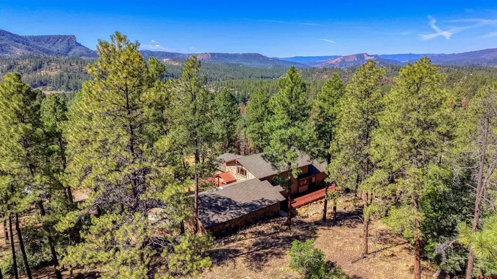 909 Starling Circle Pagosa Springs, CO 81147