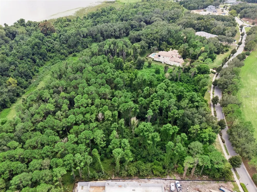 17131 ETRUSCAN LANE Montverde, FL 34756