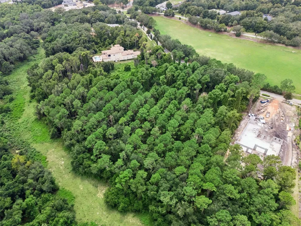 17131 ETRUSCAN LANE Montverde, FL 34756