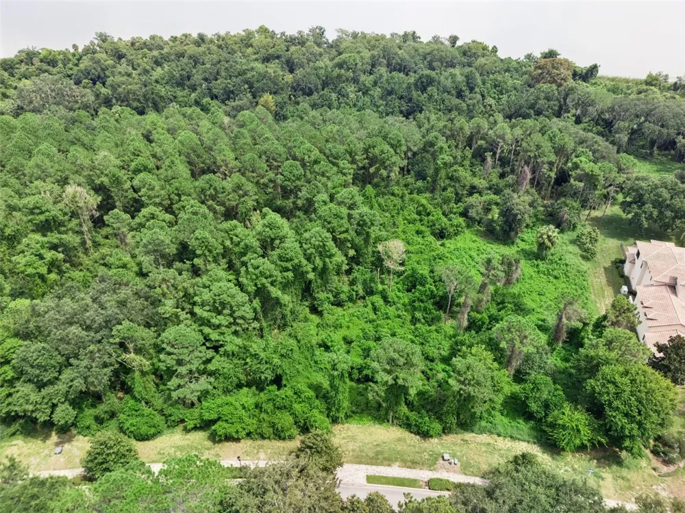17131 ETRUSCAN LANE Montverde, FL 34756
