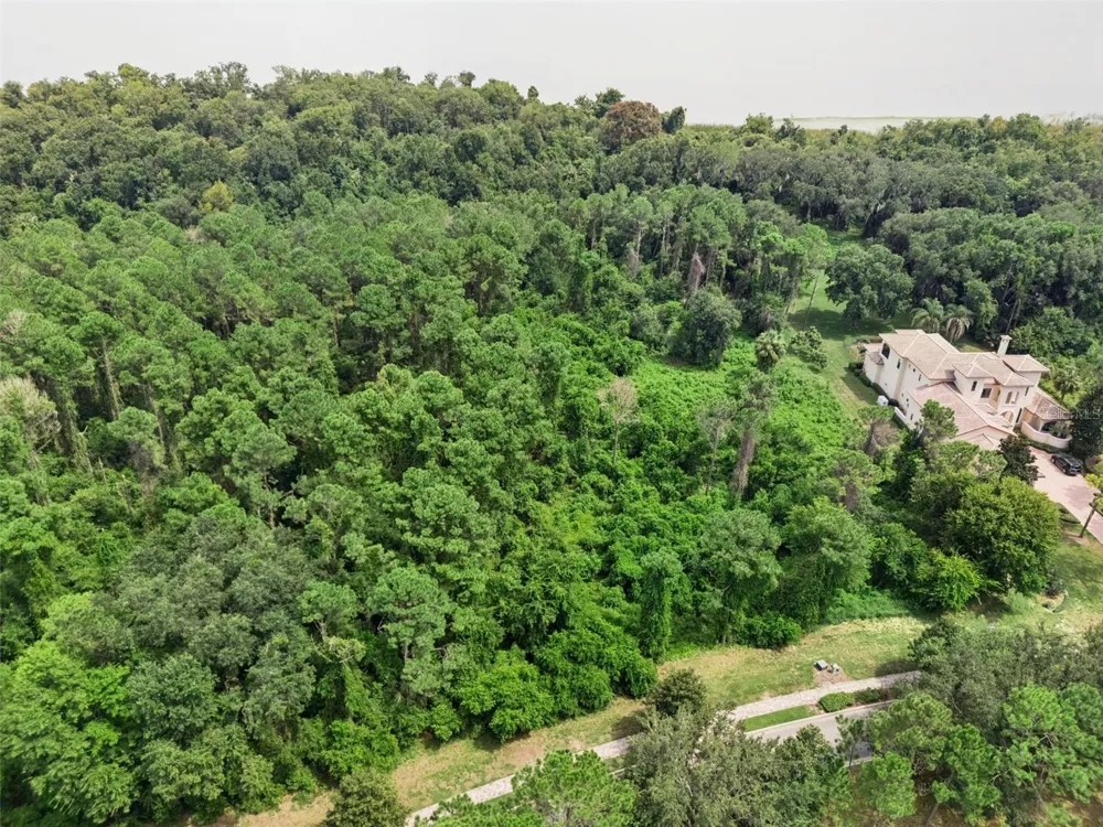 17131 ETRUSCAN LANE Montverde, FL 34756