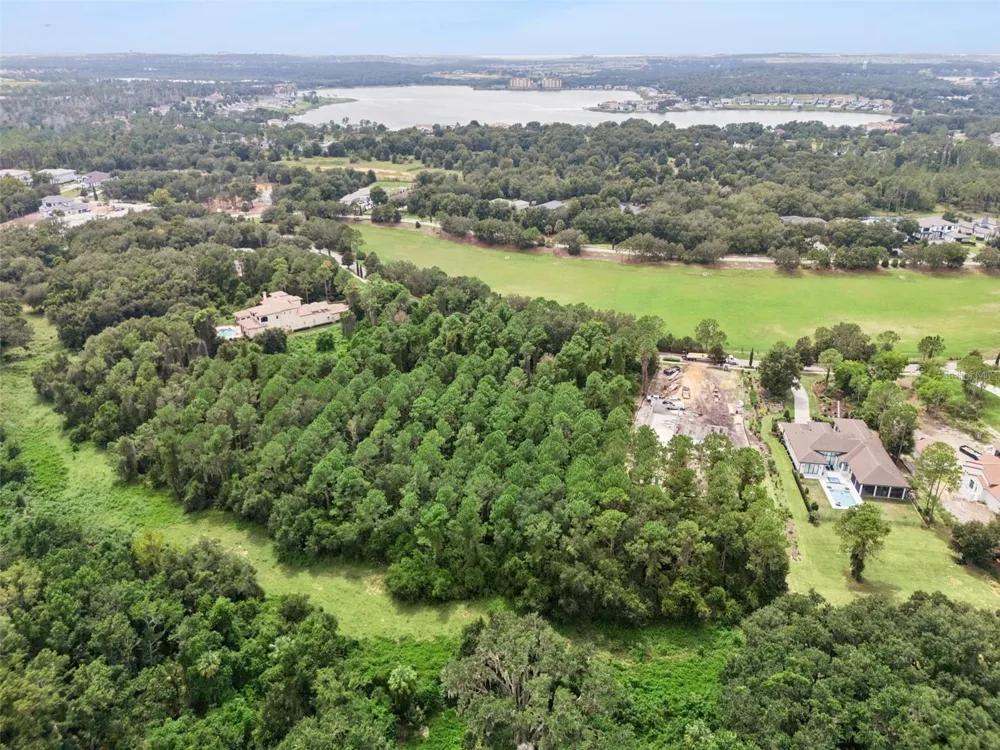 17131 ETRUSCAN LANE Montverde, FL 34756