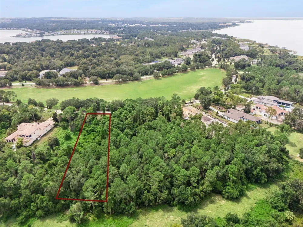 17131 ETRUSCAN LANE Montverde, FL 34756
