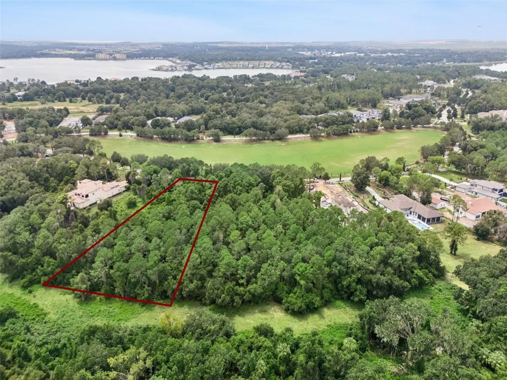 17131 ETRUSCAN LANE Montverde, FL 34756