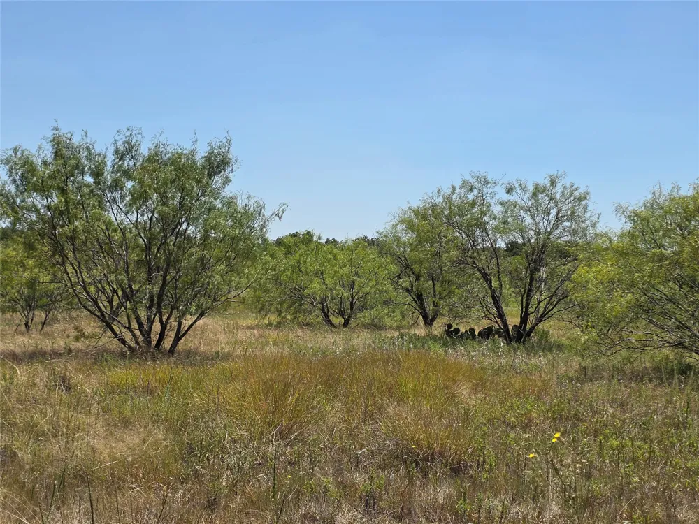 168 Highway 587 De Leon, TX 76444