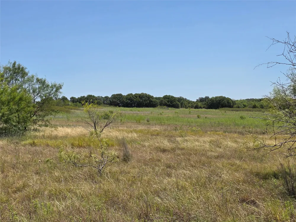 168 Highway 587 De Leon, TX 76444