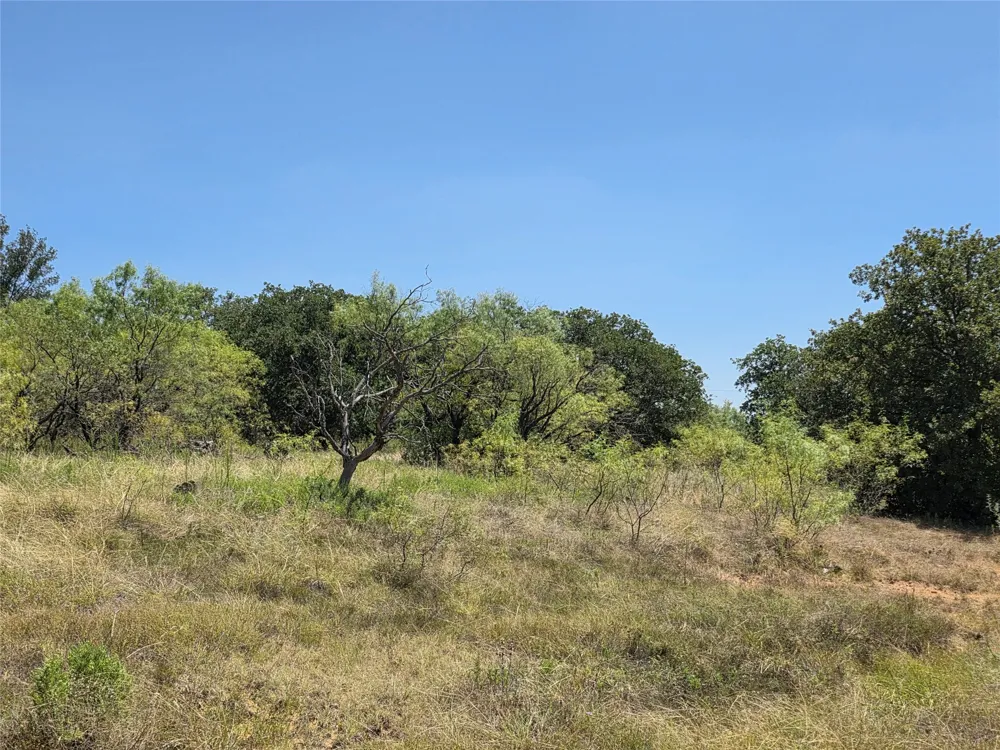 168 Highway 587 De Leon, TX 76444