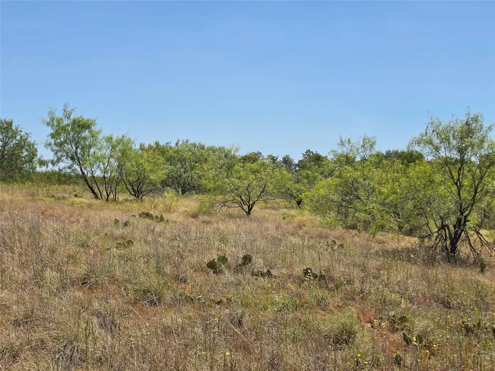 168 Highway 587 De Leon, TX 76444