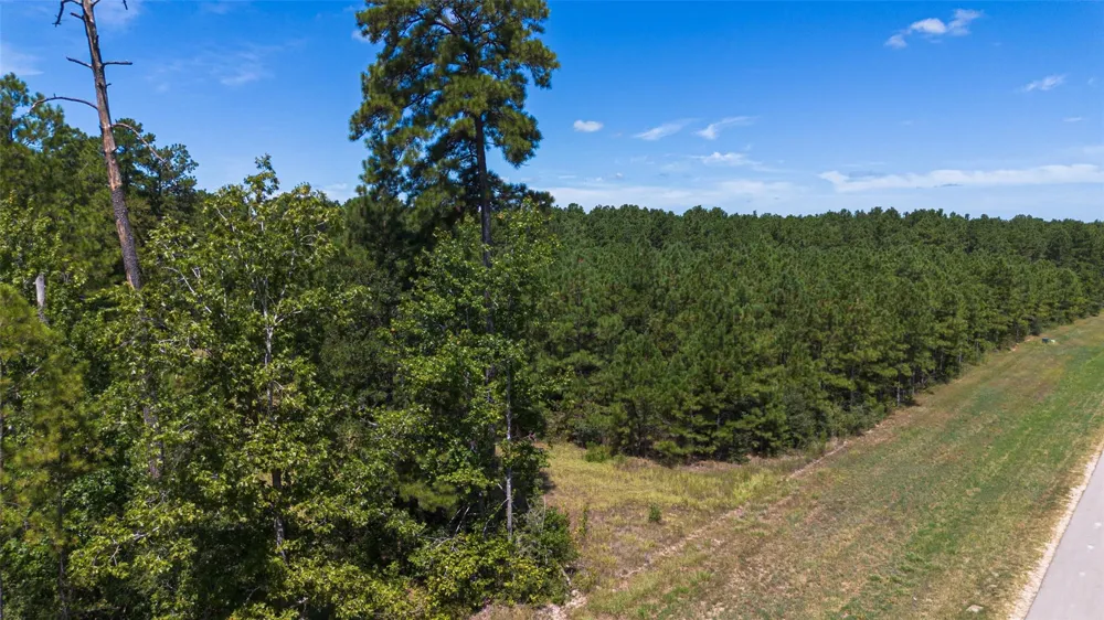 15881 Wood Grove Way Willis, TX 77378