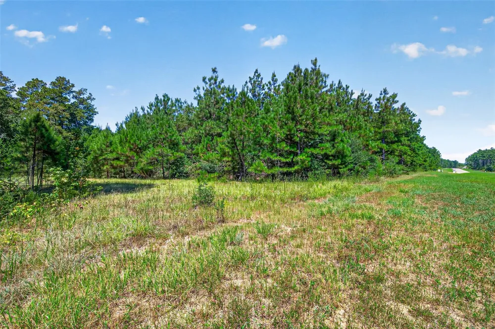 15881 Wood Grove Way Willis, TX 77378