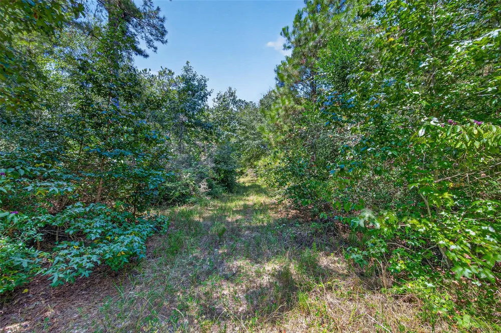 15881 Wood Grove Way Willis, TX 77378