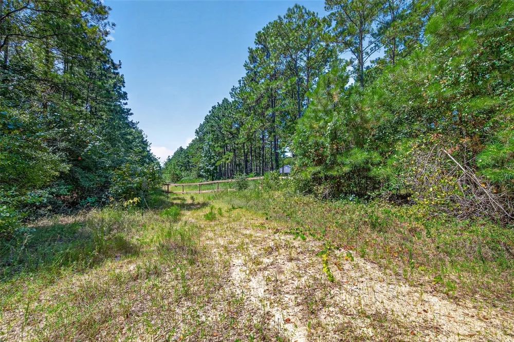 15881 Wood Grove Way Willis, TX 77378