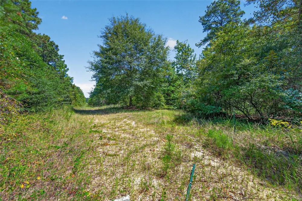 15881 Wood Grove Way Willis, TX 77378
