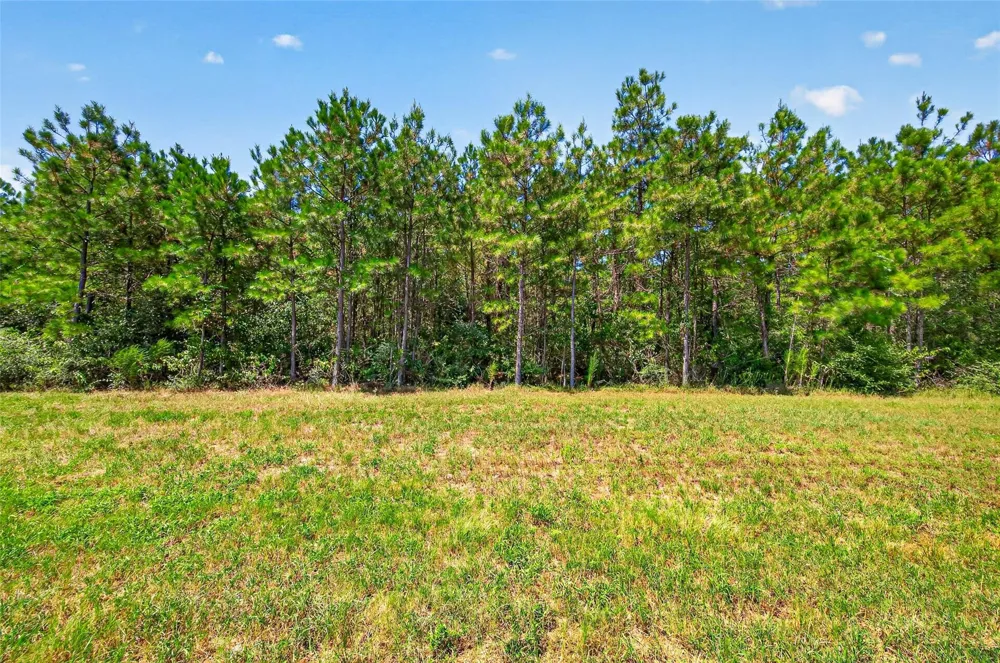 15881 Wood Grove Way Willis, TX 77378