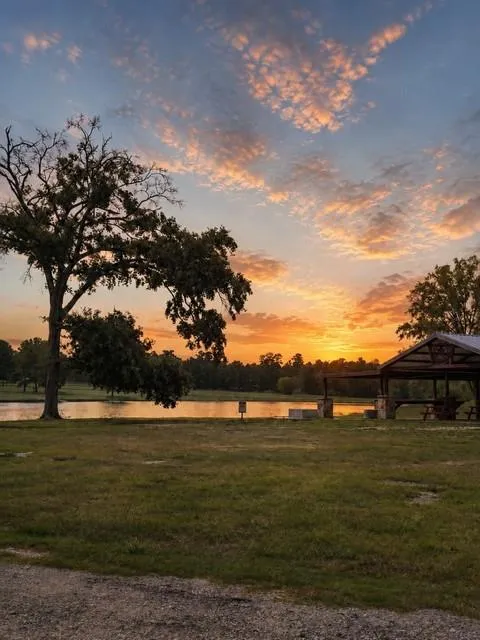 15881 Wood Grove Way Willis, TX 77378
