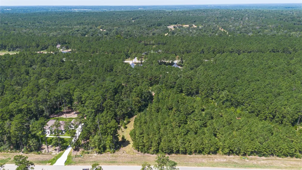 15881 Wood Grove Way Willis, TX 77378
