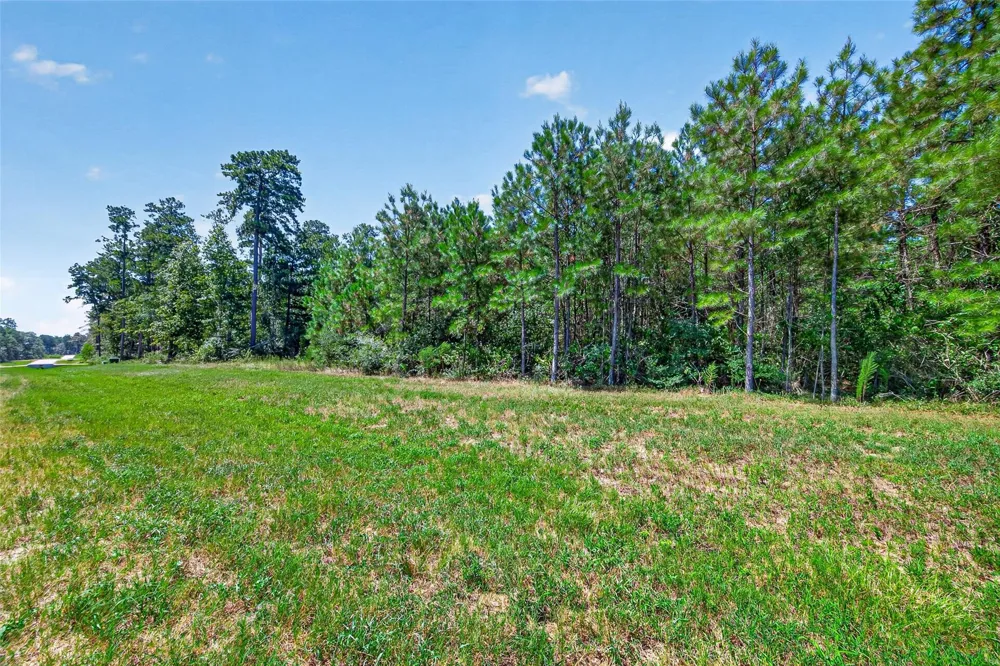 15881 Wood Grove Way Willis, TX 77378