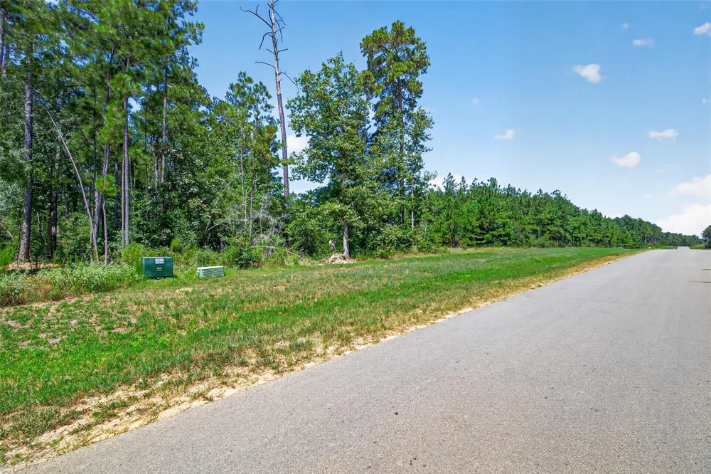 15881 Wood Grove Way Willis, TX 77378