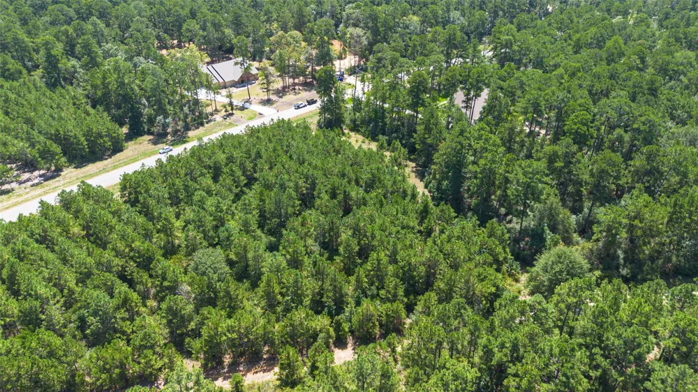 15881 Wood Grove Way Willis, TX 77378