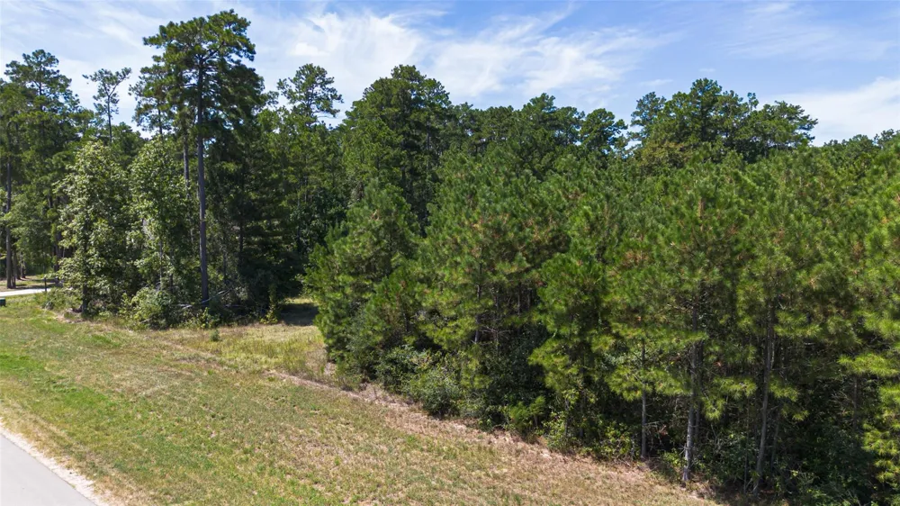 15881 Wood Grove Way Willis, TX 77378