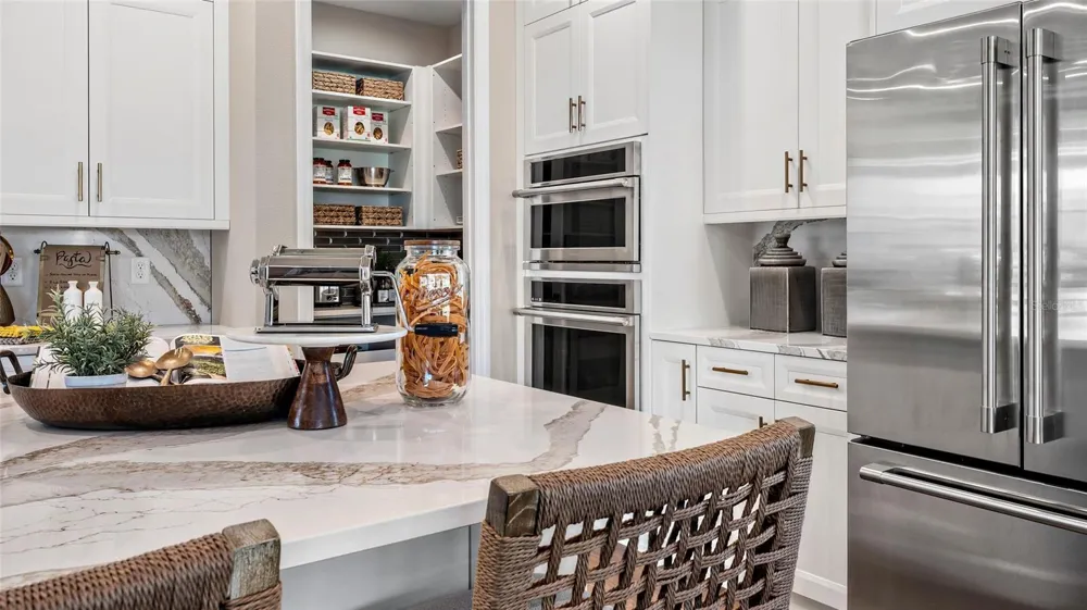 533 HAMMOCK OAKS BOULEVARD Lady Lake, FL 32159