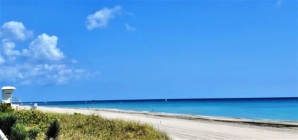 122 PERUVIAN AVENUE #0141 Palm Beach, FL 33480