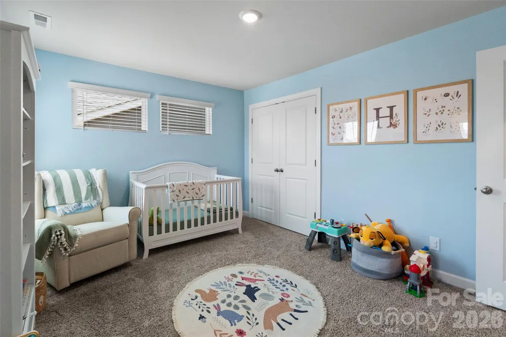 322 Hyssop Court Fort Mill, SC 29715