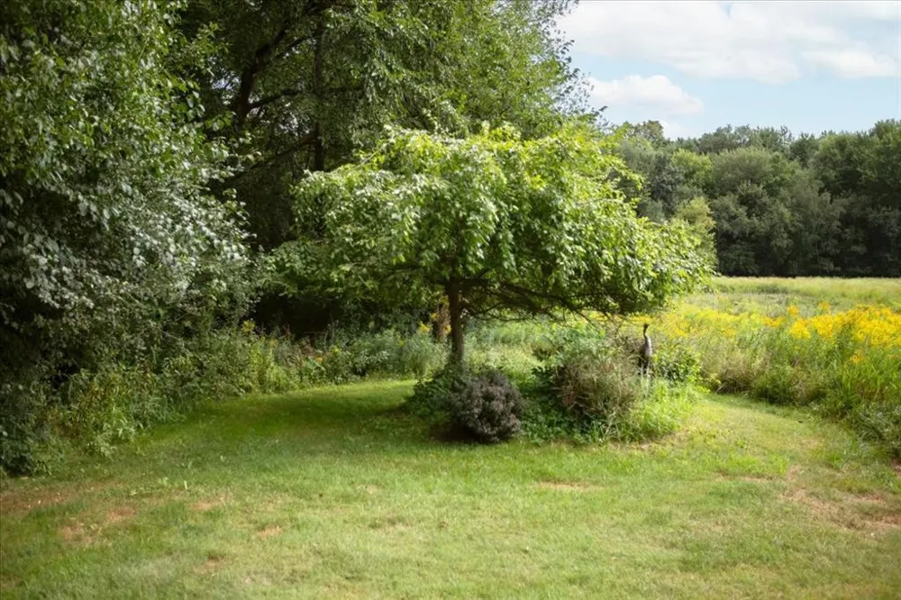 N4438 County Road Y Menomonie, WI 54751