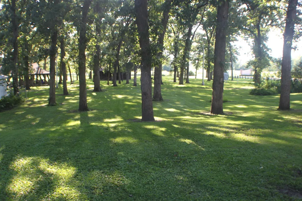 202 4th Street NW Rose Creek, MN 55970