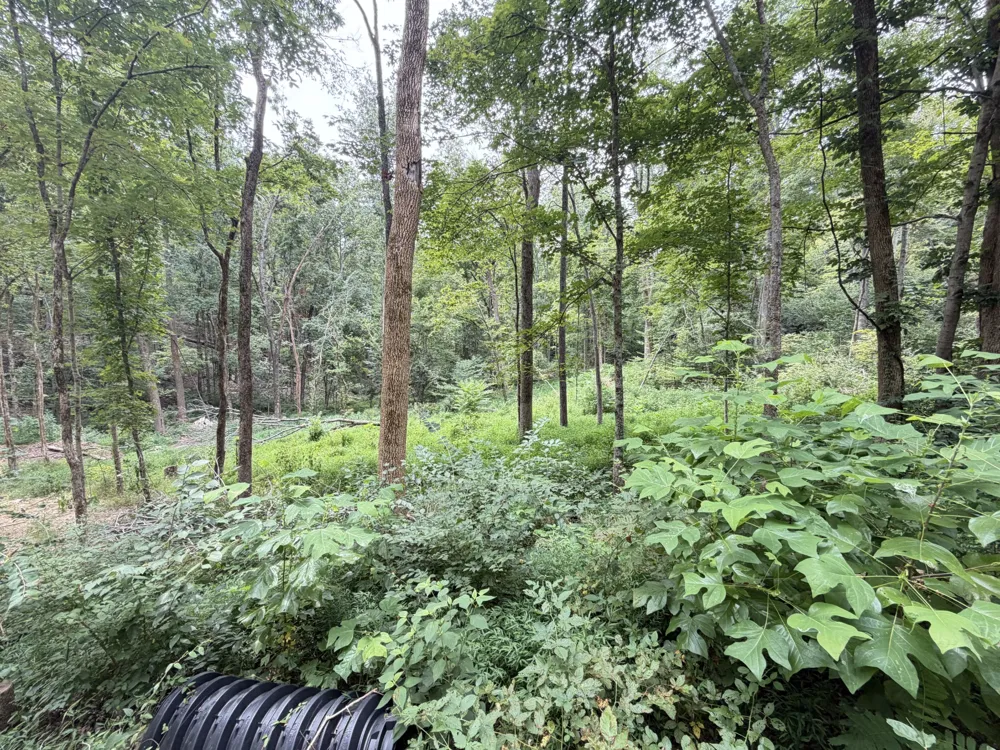 8411 Poplar Creek Rd Nashville, TN 37221