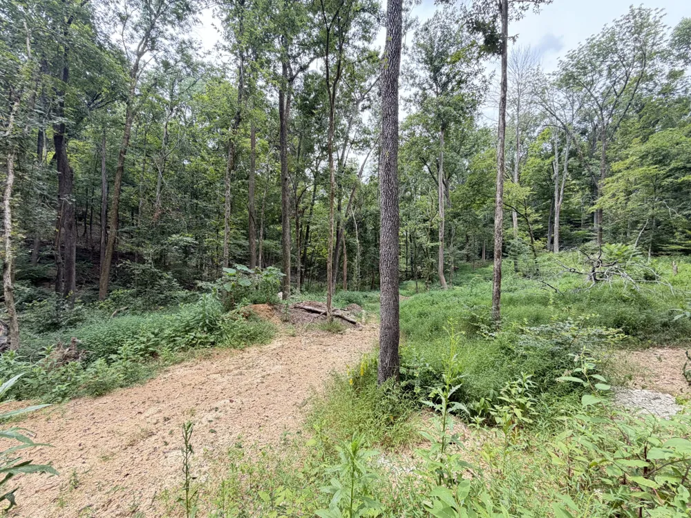 8411 Poplar Creek Rd Nashville, TN 37221