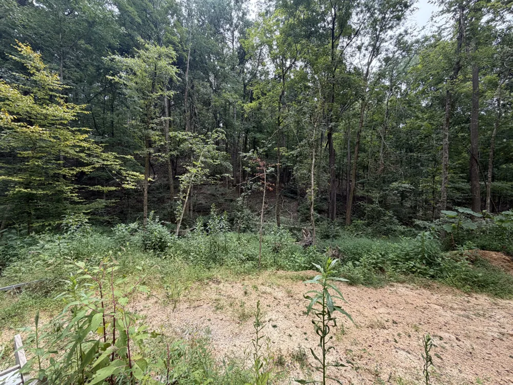 8411 Poplar Creek Rd Nashville, TN 37221