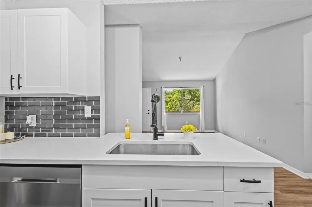 10265 GANDY BOULEVARD #1406 St Petersburg, FL 33702
