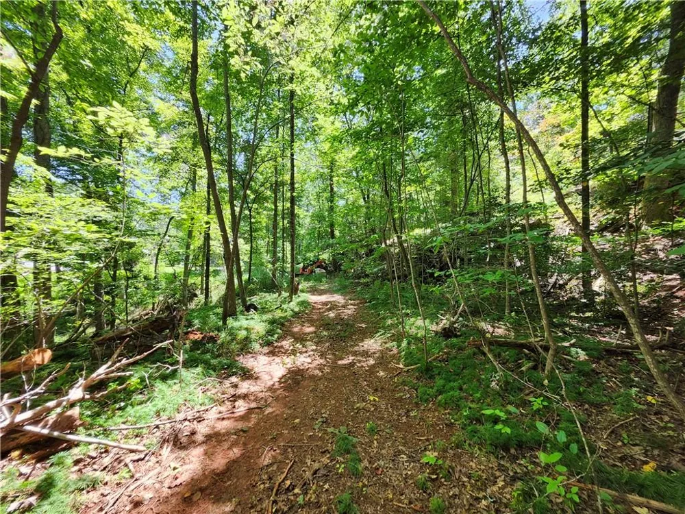 0 Deer Run Drive Dahlonega, GA 30533