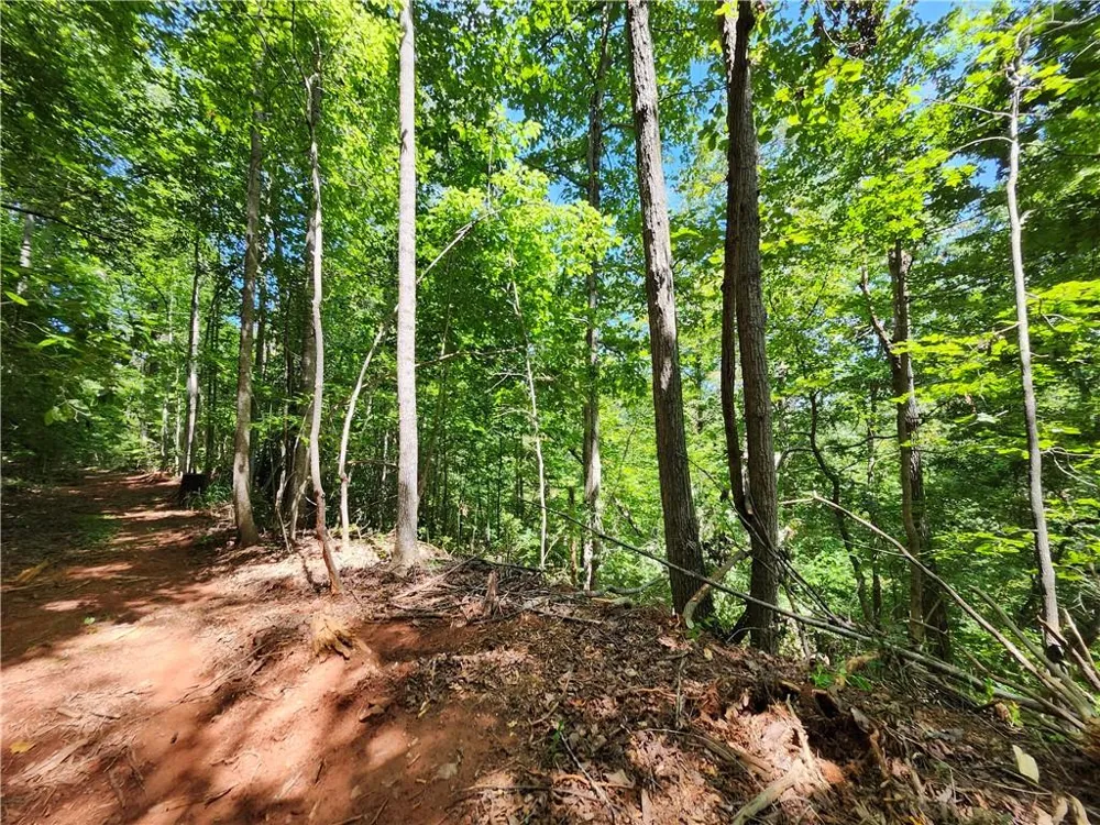 0 Deer Run Drive Dahlonega, GA 30533