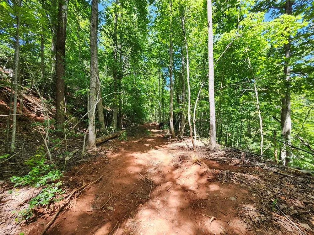 0 Deer Run Drive Dahlonega, GA 30533