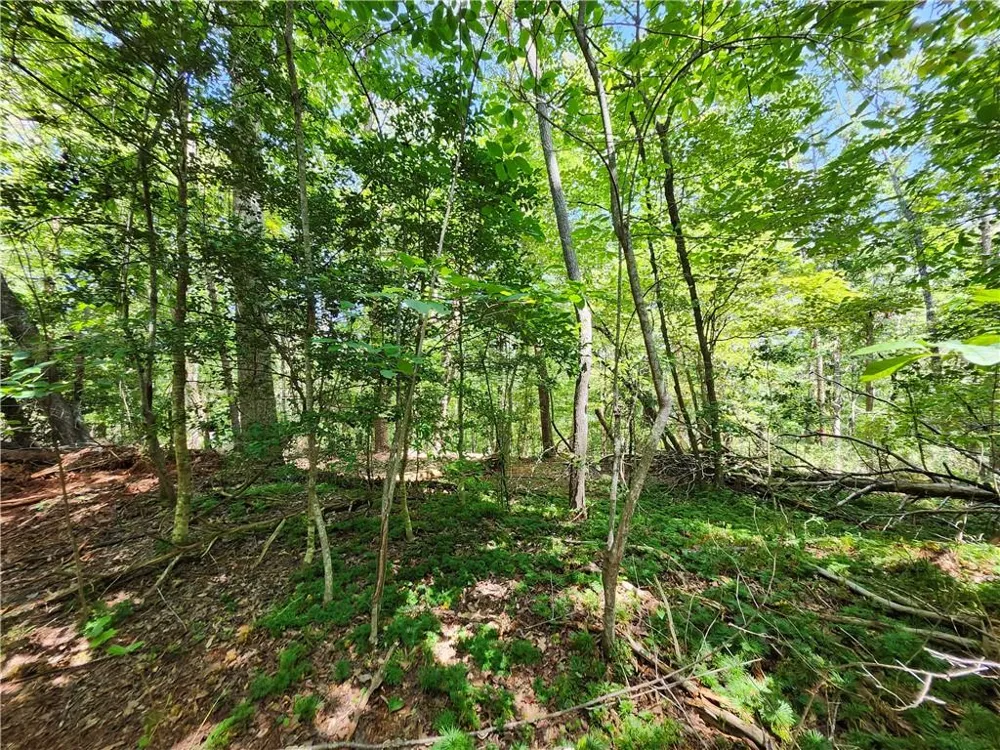 0 Deer Run Drive Dahlonega, GA 30533