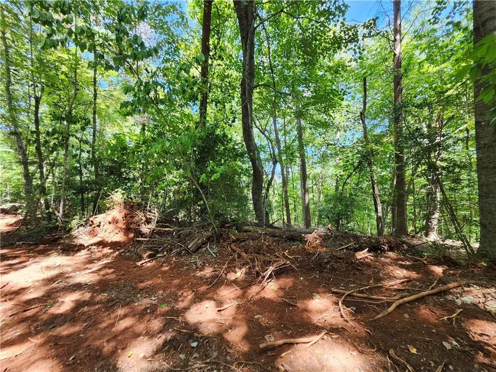 0 Deer Run Drive Dahlonega, GA 30533