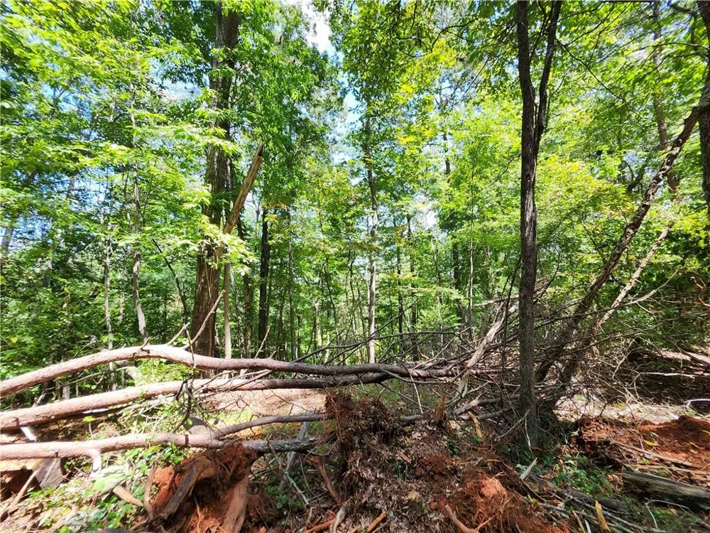 0 Deer Run Drive Dahlonega, GA 30533