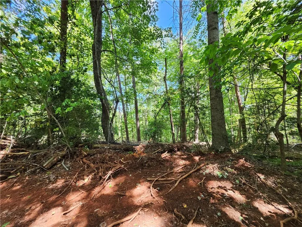 0 Deer Run Drive Dahlonega, GA 30533