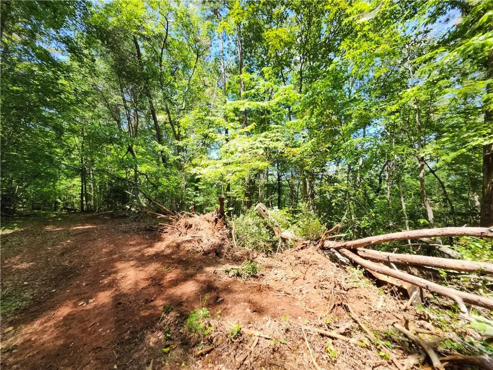 0 Deer Run Drive Dahlonega, GA 30533