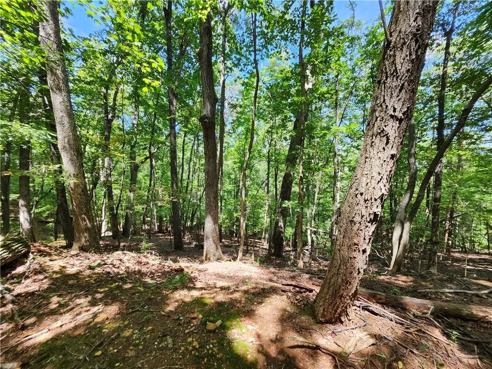 0 Deer Run Drive Dahlonega, GA 30533