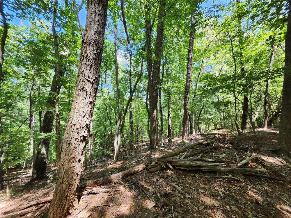 0 Deer Run Drive Dahlonega, GA 30533